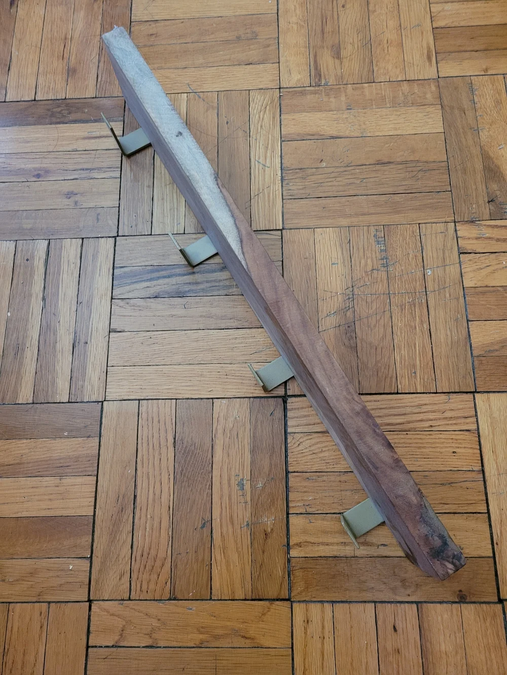 Live Edge Walnut Coat Rack with Brass Hooks